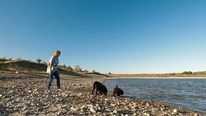 在湖边训练纽芬兰犬的年轻女子