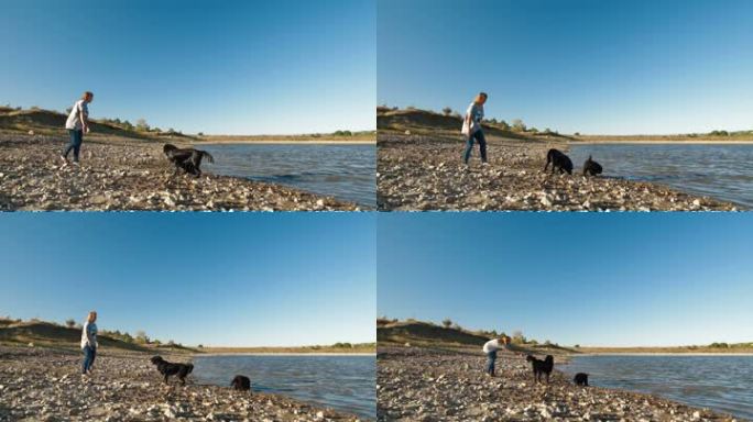 在湖边训练纽芬兰犬的年轻女子