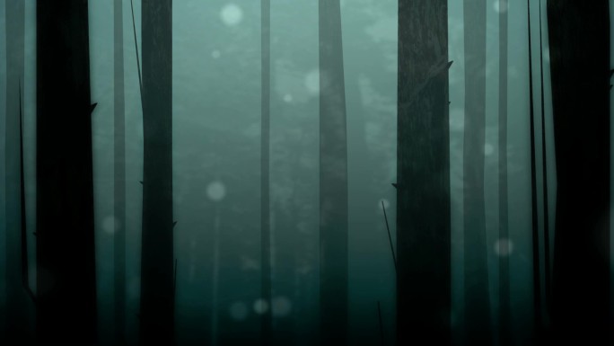 幽灵或迷人的森林