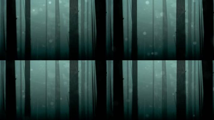 幽灵或迷人的森林