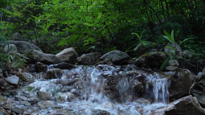 北京虎峪风景区-树林小河流水_4K