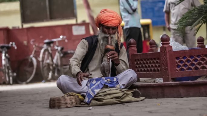 街头耍蛇人。印度