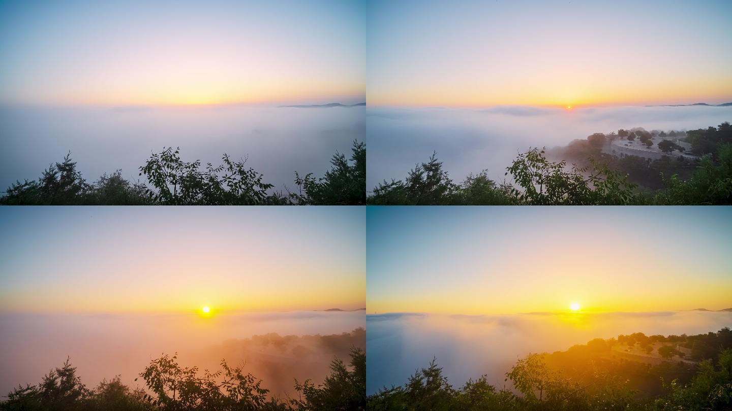 延安凤凰山国家森林公园日出云雾延时空镜