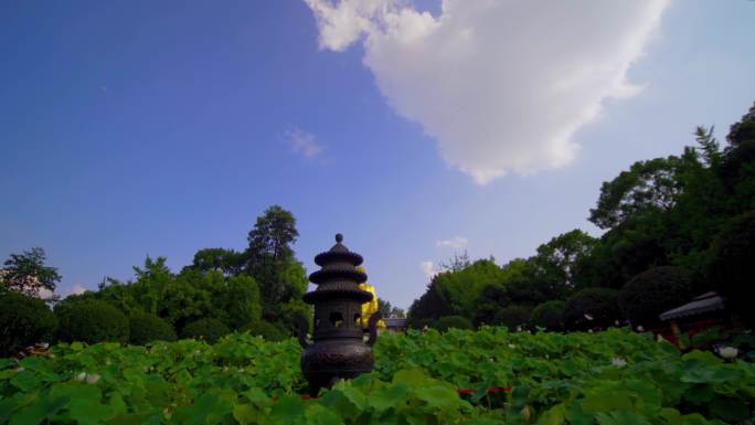 重庆华岩寺中式建筑传统文化荷叶荷花佛像