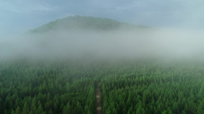 航拍大兴安岭高山云海