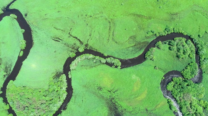 航拍绿色原野蜿蜒的河流