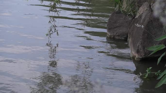 湖面水波纹