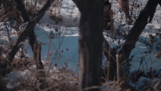 远古古人雪地双人脚步前进01