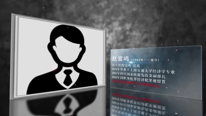 反腐警示嫌疑人介绍简介