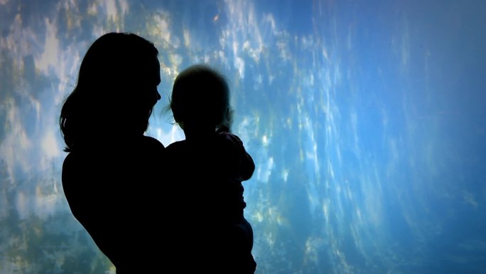 两张照片——一位母亲和一个婴儿，后面跟着一个蹒跚学步的孩子，通过一扇大窗户观看海豹。