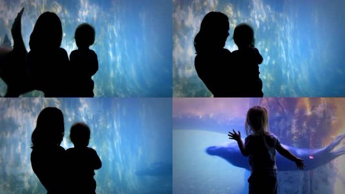 两张照片——一位母亲和一个婴儿，后面跟着一个蹒跚学步的孩子，通过一扇大窗户观看海豹。