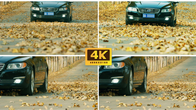 汽车行驶在落叶满地的公路