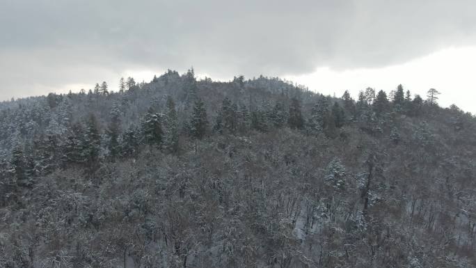 怒江 兰坪 云岭 湖泊 雪山