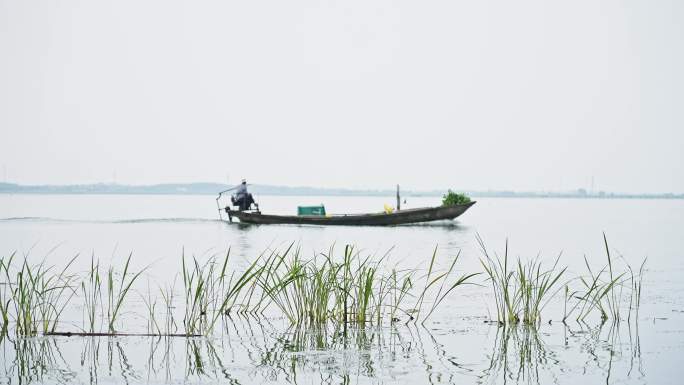 4k太湖景色渔船渔民忙碌