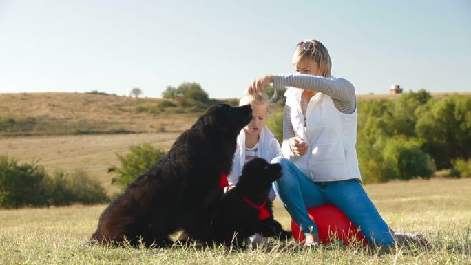 母女俩在大自然中与纽芬兰犬玩耍