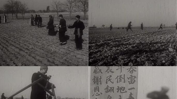 50年代农民丈量土地 新中国土地法颁布