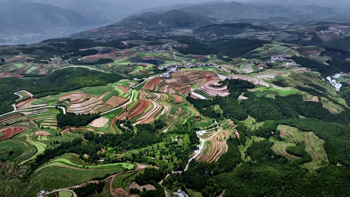 东川红土地