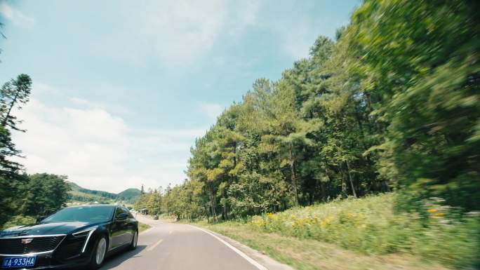 卡迪拉克汽车广告森林阳光低角度侧拍丝滑