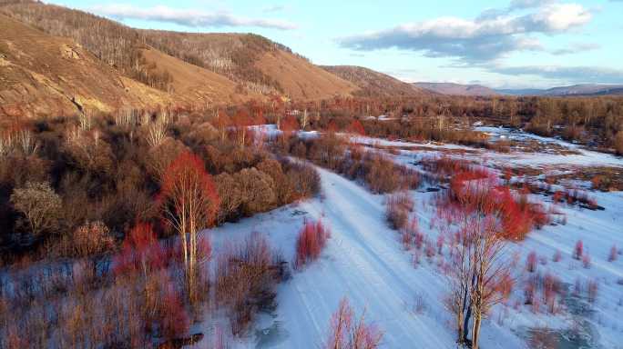 大兴安岭早春雪原冰河红柳