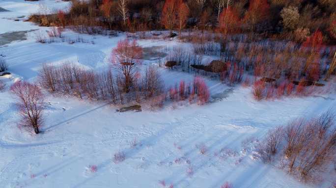 大兴安岭早春雪原冰河红柳