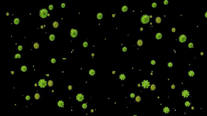 病毒传播冠状冠状病毒肺炎动画AE模板