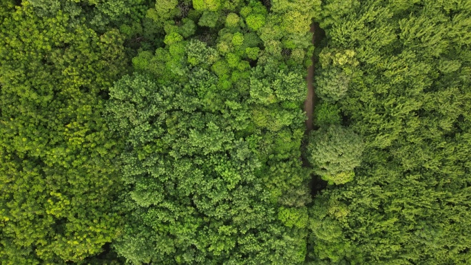 西安阿房宫遗址公园20