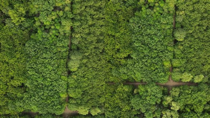 西安阿房宫遗址公园20