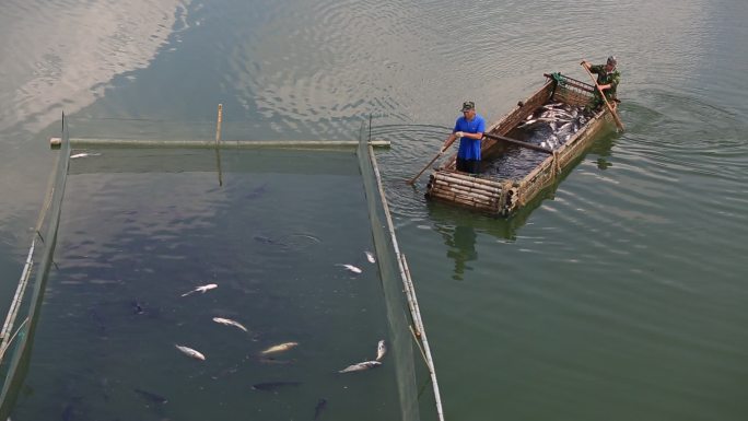 浙江绍兴诸暨东白湖水库渔民捕鱼青山绿水