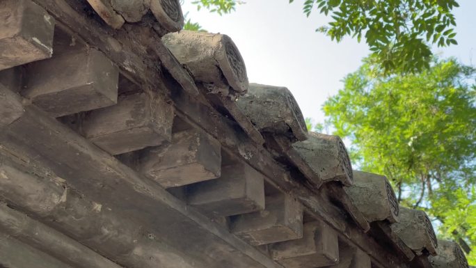 古代屋檐树林瓦砾风吹树林