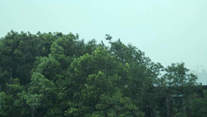 超长下雨空镜素材 助眠背景