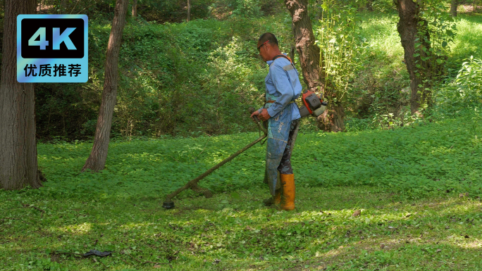 小区除草 公园除草 割草机 劳动人民