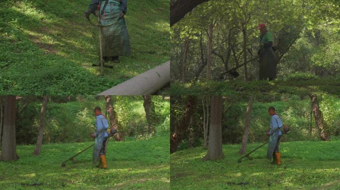 小区除草 公园除草 割草机 劳动人民