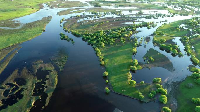 航拍内蒙古亚洲第一湿地：根河湿地