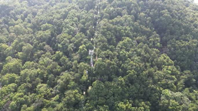 航拍武汉东湖珞珈山5A景区 (1)