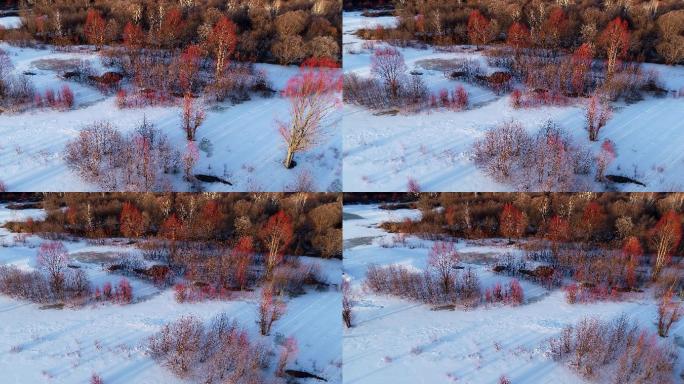 大兴安岭早春雪原冰河红柳