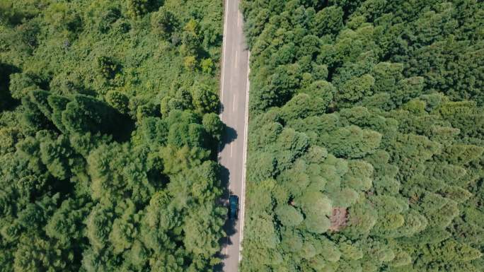 卡迪拉克汽车广告航拍森林俯拍垂直树木纵深