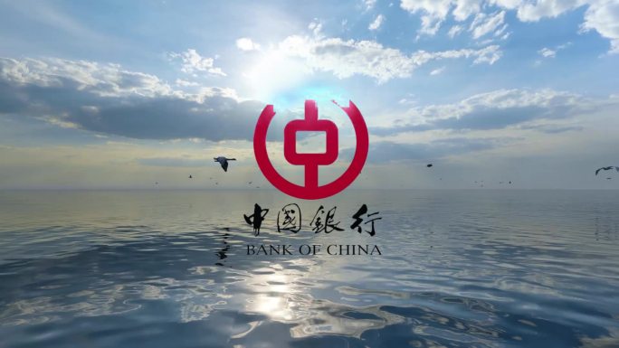 实景logo展示大海蓝天鸟片头（无插件）