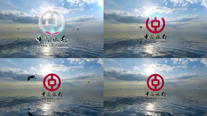 实景logo展示大海蓝天鸟片头（无插件）