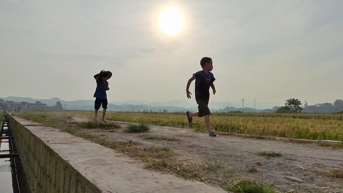 在田间田埂道上奔跑的小孩乡间跑步小孩