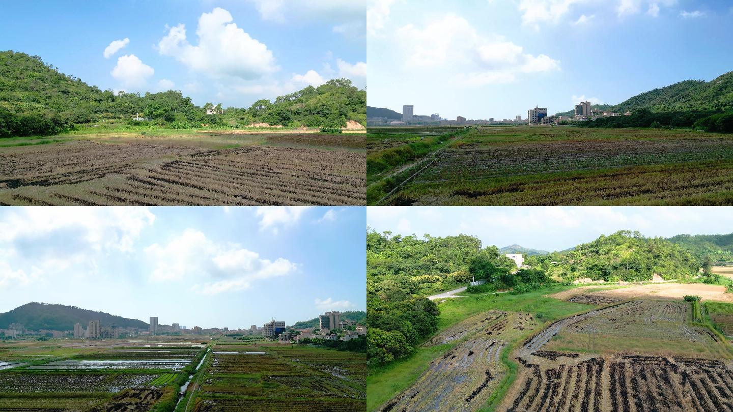 农田 田园风光 平原地区