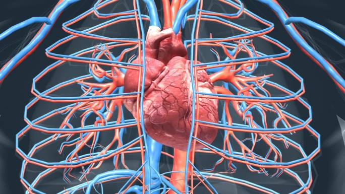 医学动画人体器官3D心脏动画心脏病变坏死
