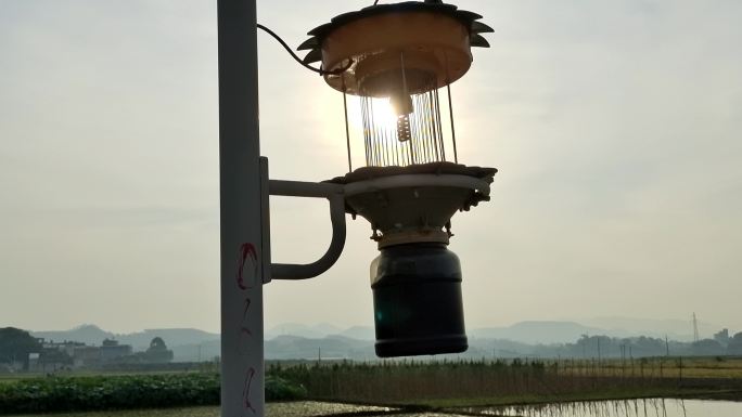 灯夜晚稻田太阳能LED自动灭害虫灯灭虫灯