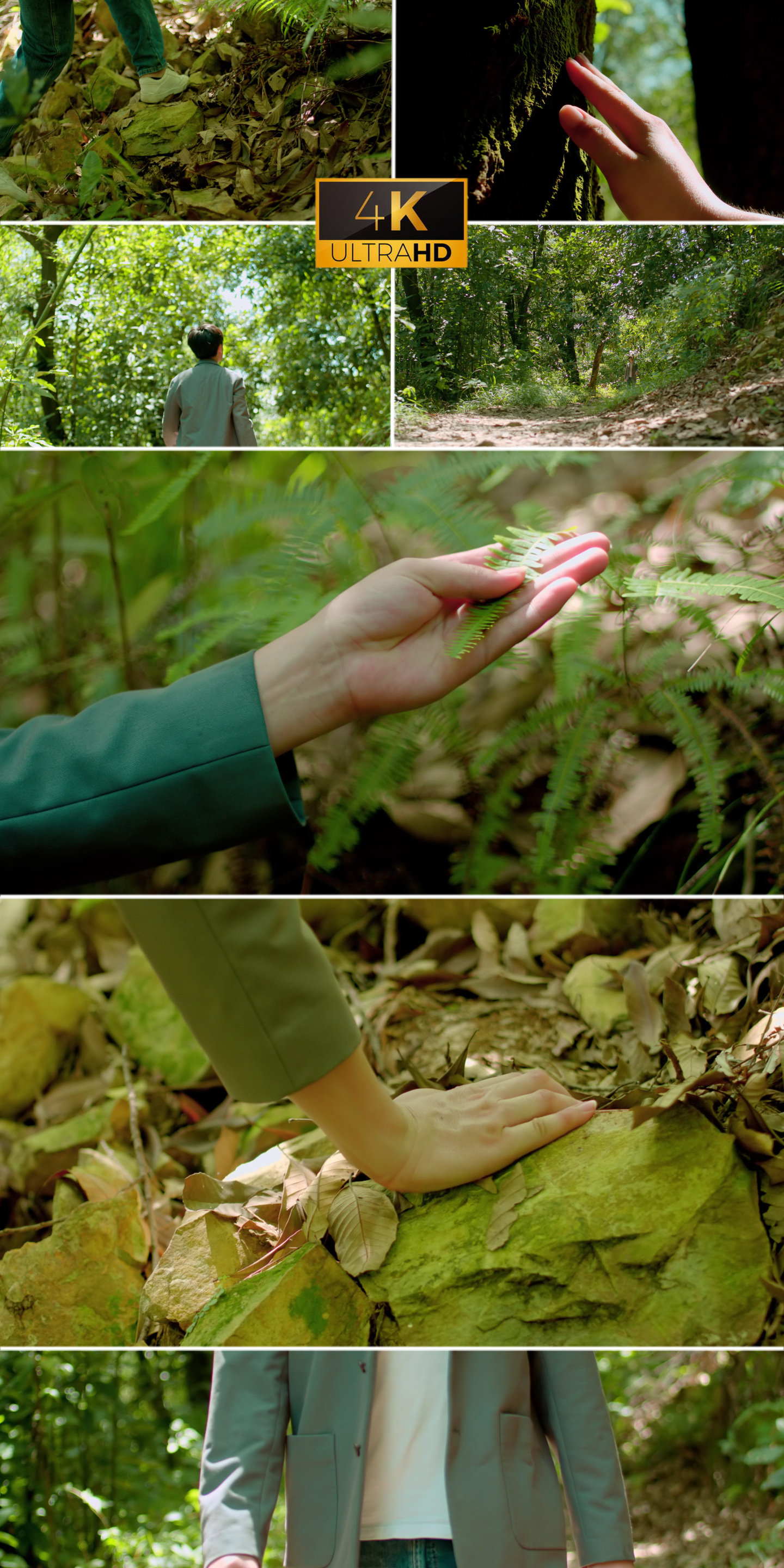 森林徒步旅行探险挑战 抚摸木纹材质 从林