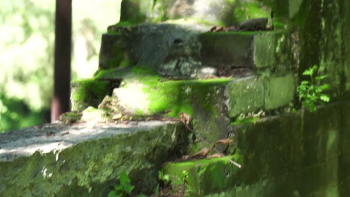 青苔苔藓石砖神秘古城