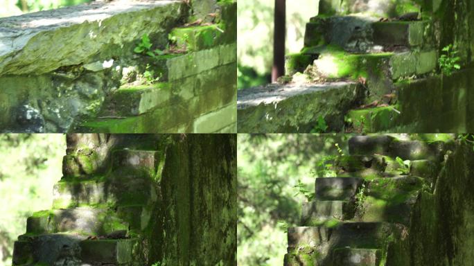 青苔苔藓石砖神秘古城