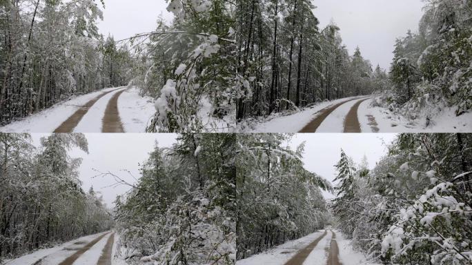 大兴安岭林区森林雪路