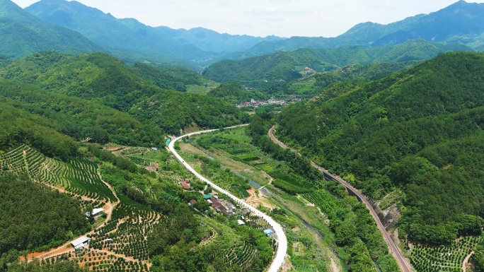 青山绿水就是金山银山