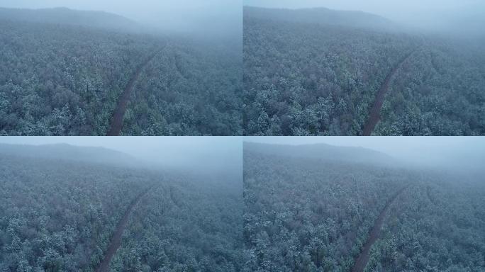 航拍大兴安岭森林春季雾凇
