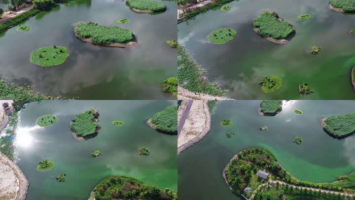 喜洲污水处理净化湿地航拍小岛