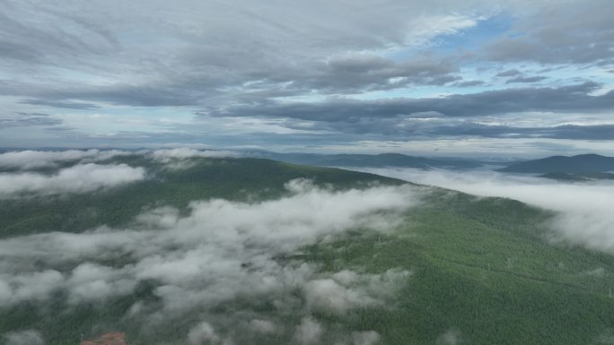 航拍大兴安岭云海水墨山林